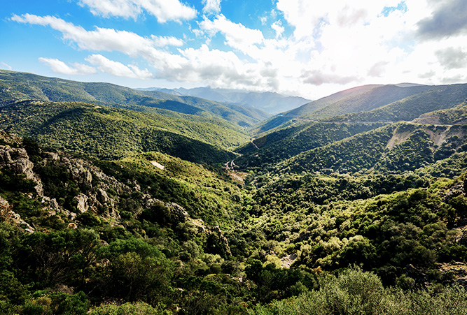 grüne Hügel im Hinterland Sardiniens