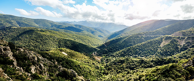 grüne Hügel im Hinterland Sardiniens